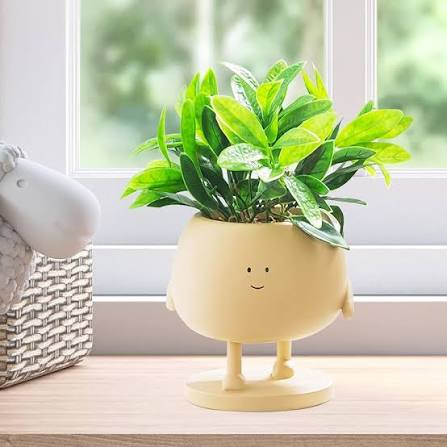 Roto-Moulded Aroma Pot with Saucer | Premium Stone-Finish Planter with 10+ Years Durability for Indoor & Outdoor Garden (Pack of 1)